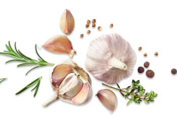 6f4fc37d6b-Photoroom 1